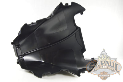 P0215.1Ama Genuine Buell Airbox Cover 08-10 1125 Models (Lbs1+) Body