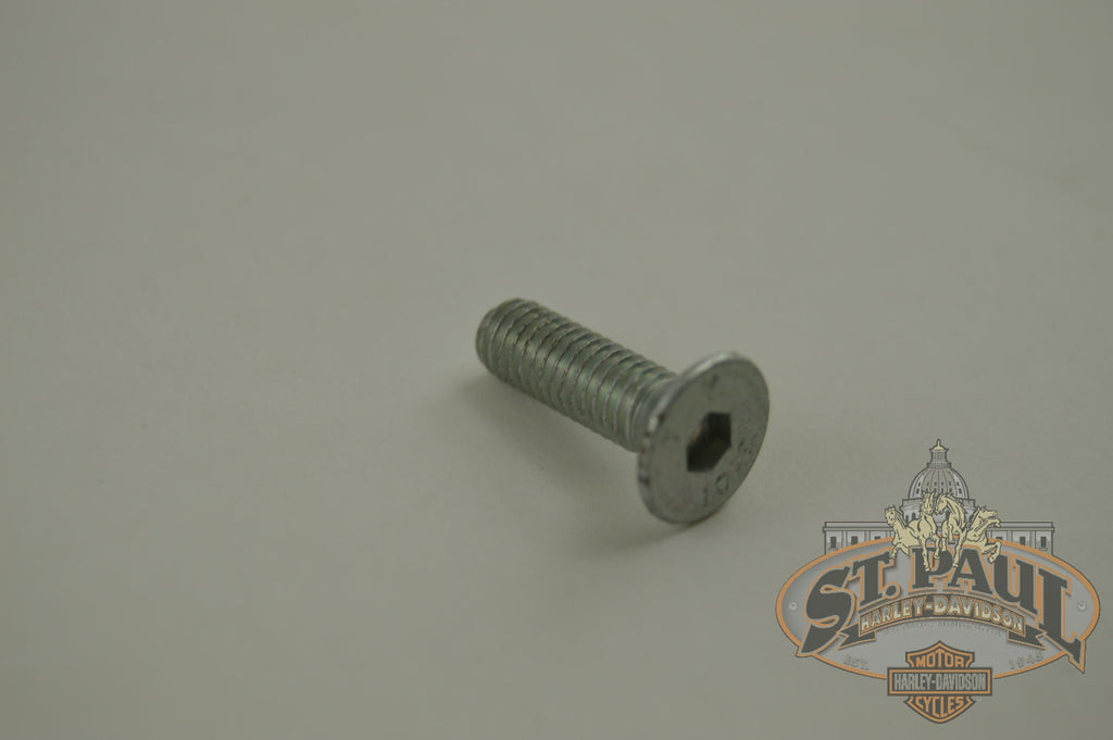 A0620 5Czb Genuine Buell Rear Master Cylinder Mounting Bolt 2003 2007 Xb Models U9D Brakes