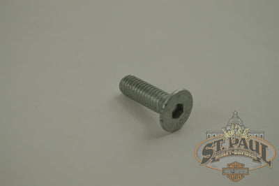 A0620 5Czb Genuine Buell Rear Master Cylinder Mounting Bolt 2003 2007 Xb Models U9D Brakes