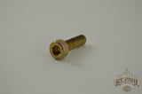 2984Y Genuine Buell Fork Screw 97-02 M2 Cyclone (B4F) Suspension