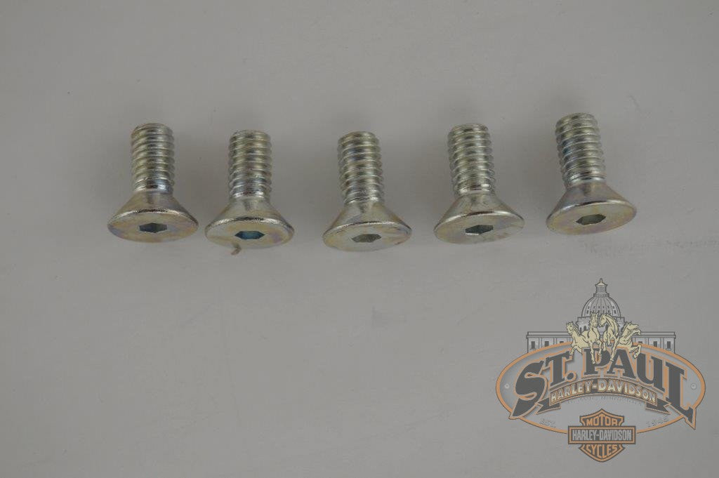 Aa0506 5Cz X5 Genuine Buell Front Brake Rotor Bolts 95 99 S2 M2 S1 X1 U8C Brakes