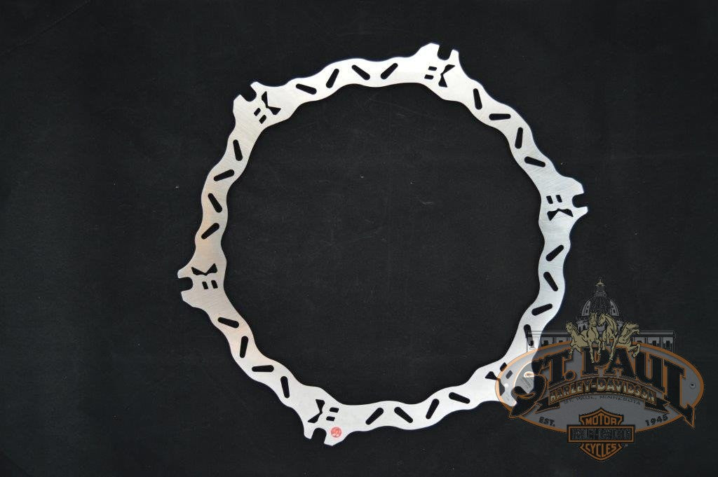 Bl02Fid Braking Front Rotor Without Mounting Hardware Xb 1125 Models Brakes