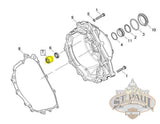 E0016 1Am Genuine Buell Balance Shaft Bearing In Ignition Cover 1125 Models L18B Engine