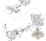 Q0054 1Am Genuine Buell Oil Pump Drive Gear 2008 2010 1125 Models L18C Engine